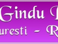 Gindu Ruxandra - Cabinet de avocat